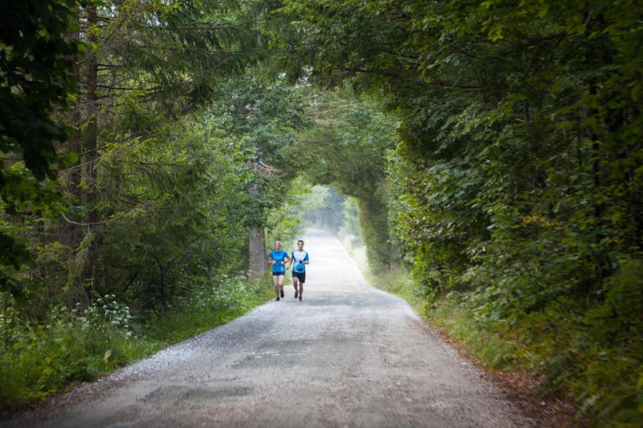 Zajcek Apartma Mojstrana Buitenkant foto