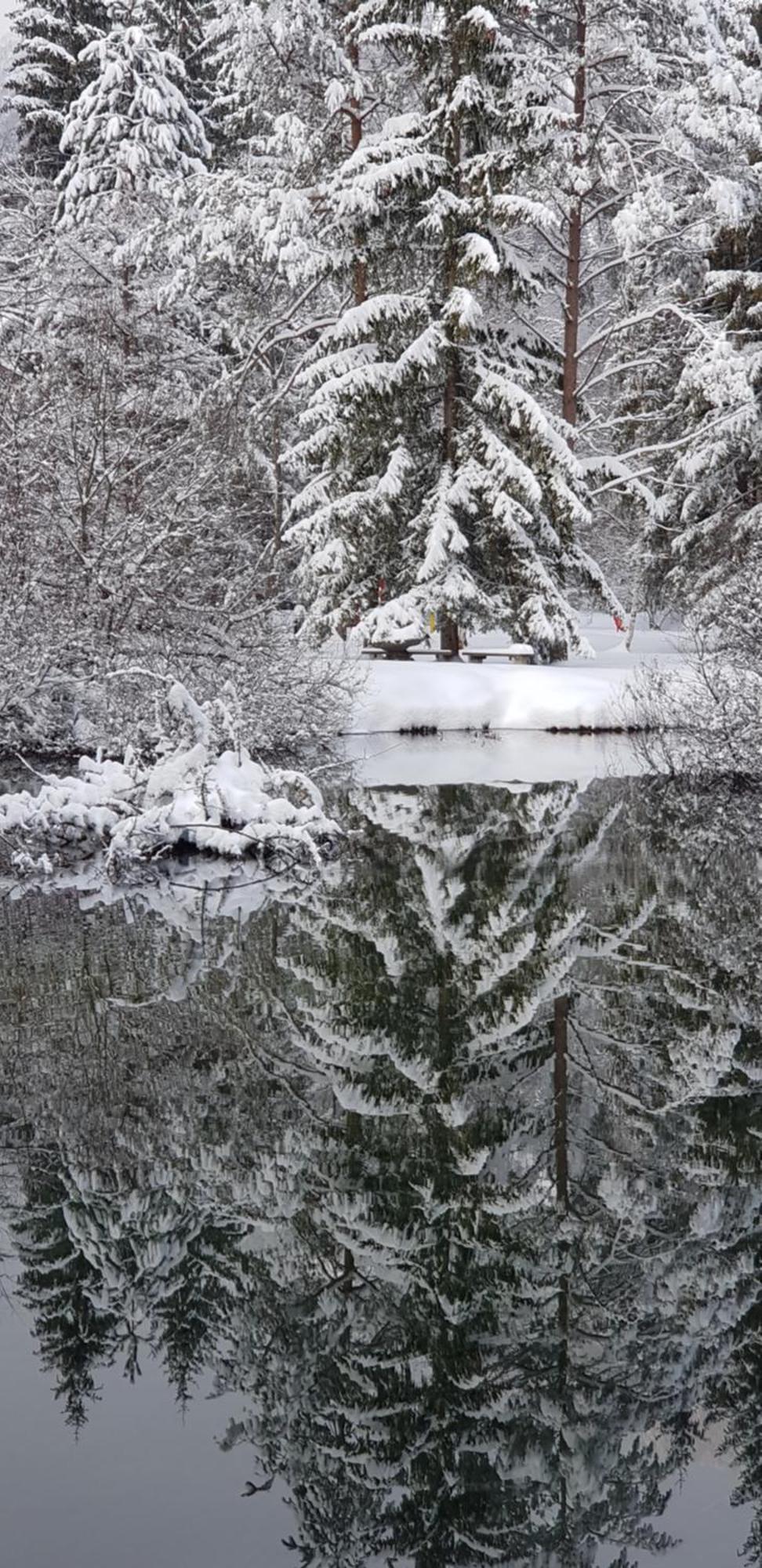 Zajcek Apartma Mojstrana Buitenkant foto