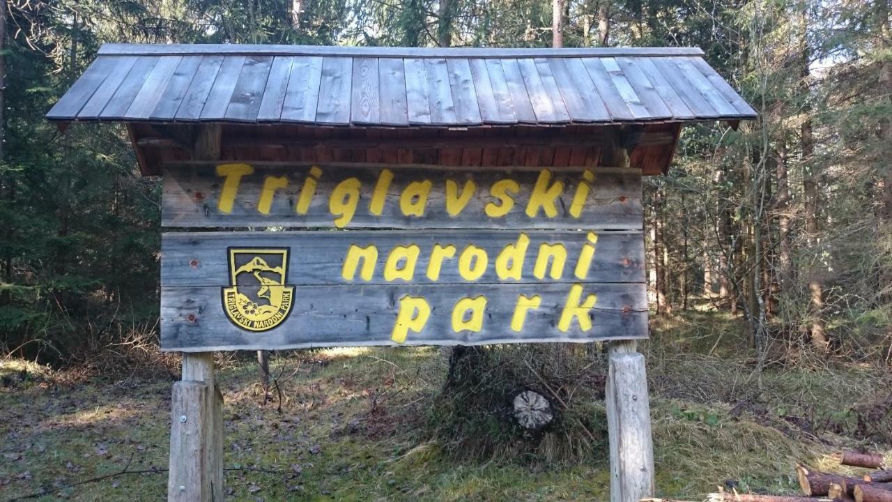 Zajcek Apartma Mojstrana Buitenkant foto