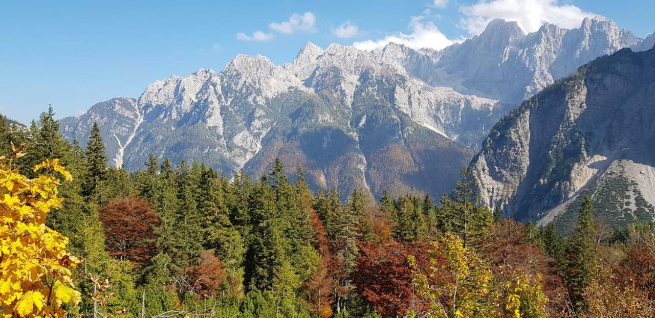 Zajcek Apartma Mojstrana Buitenkant foto