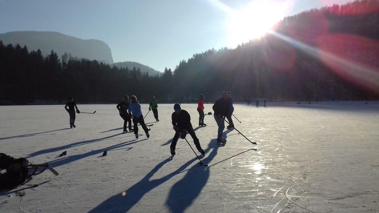 Zajcek Apartma Mojstrana Buitenkant foto