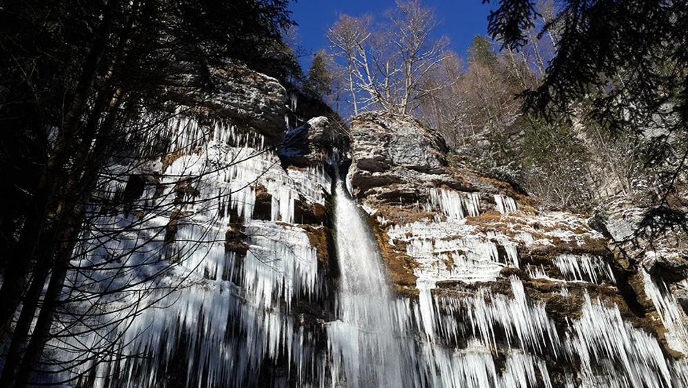 Zajcek Apartma Mojstrana Buitenkant foto
