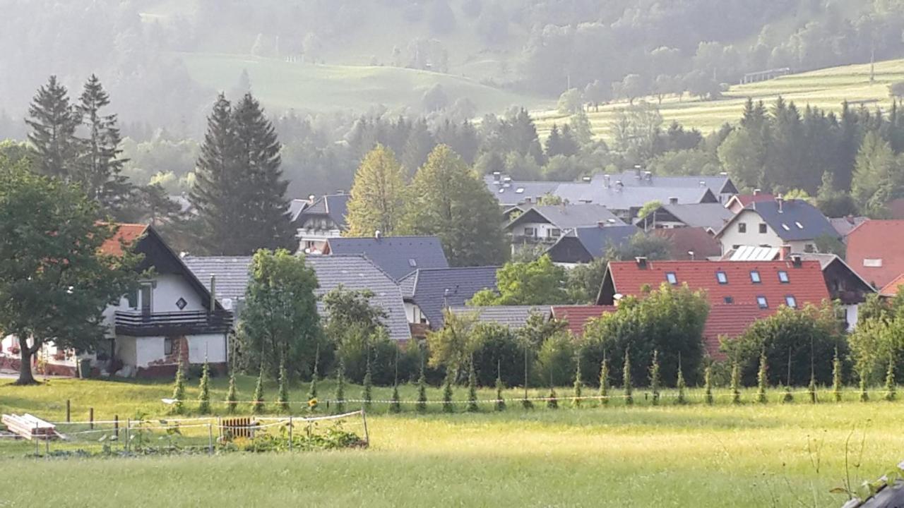 Zajcek Apartma Mojstrana Buitenkant foto