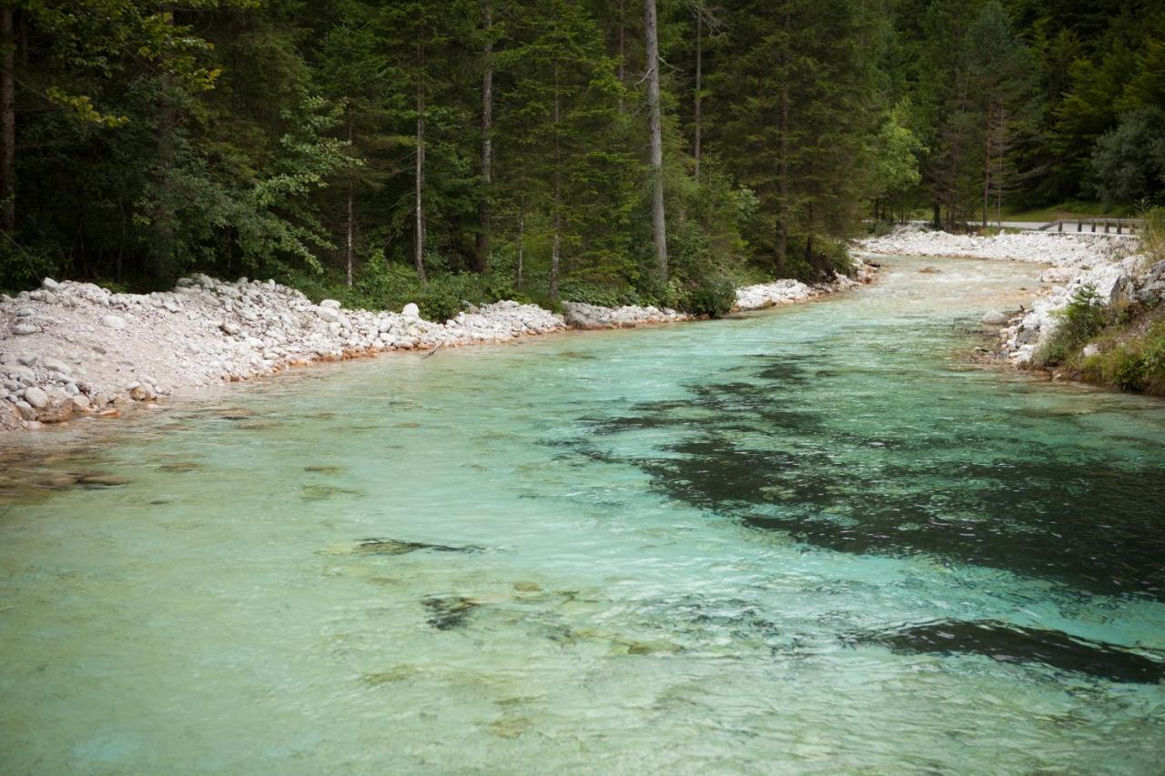 Zajcek Apartma Mojstrana Buitenkant foto