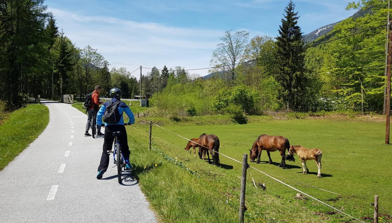 Zajcek Apartma Mojstrana Buitenkant foto